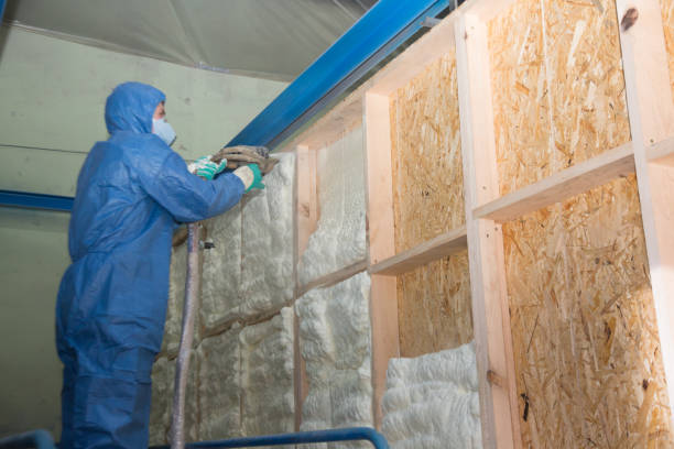 Best Insulation Repair Services  in Idalou, TX